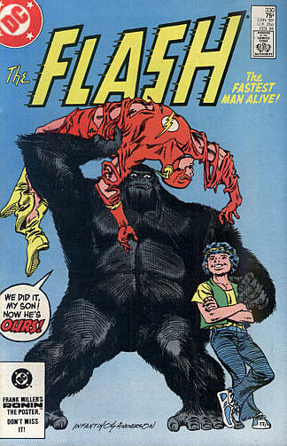 Flash 330
