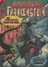Monster von Frankenstein 19