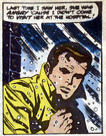 Spider-Man Digest 11